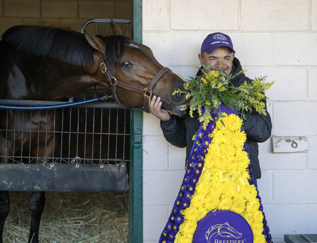 Breeders' Cup Bunch of winners could return in 2025